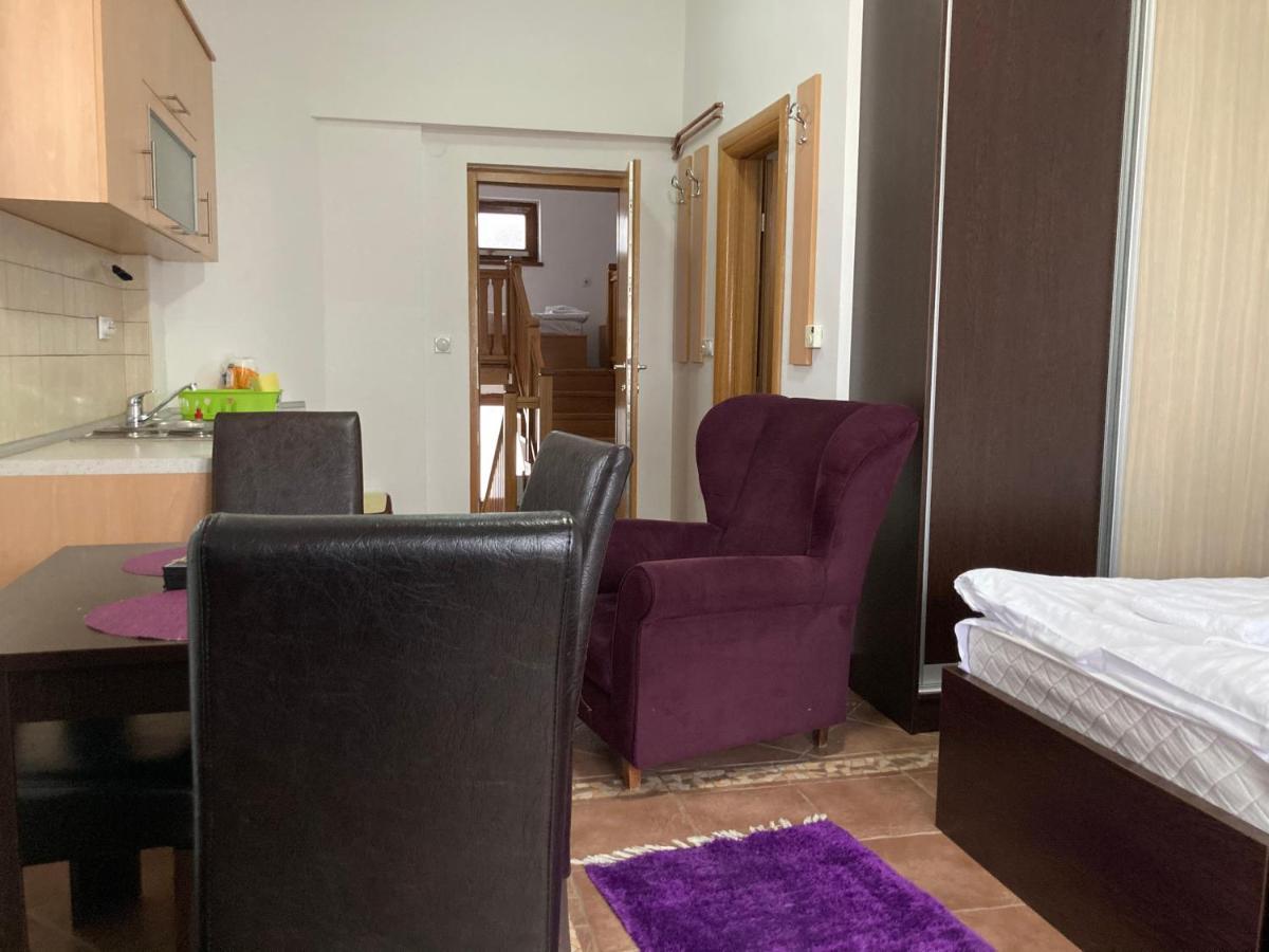 Vila Nina Kopaonik Apartman Kültér fotó