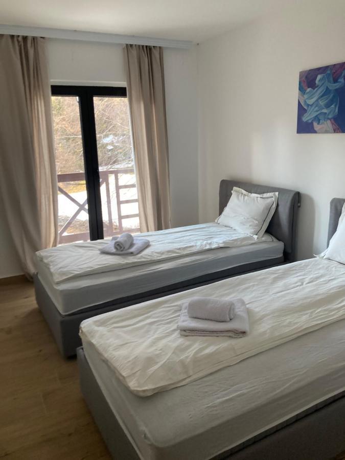 Vila Nina Kopaonik Apartman Kültér fotó